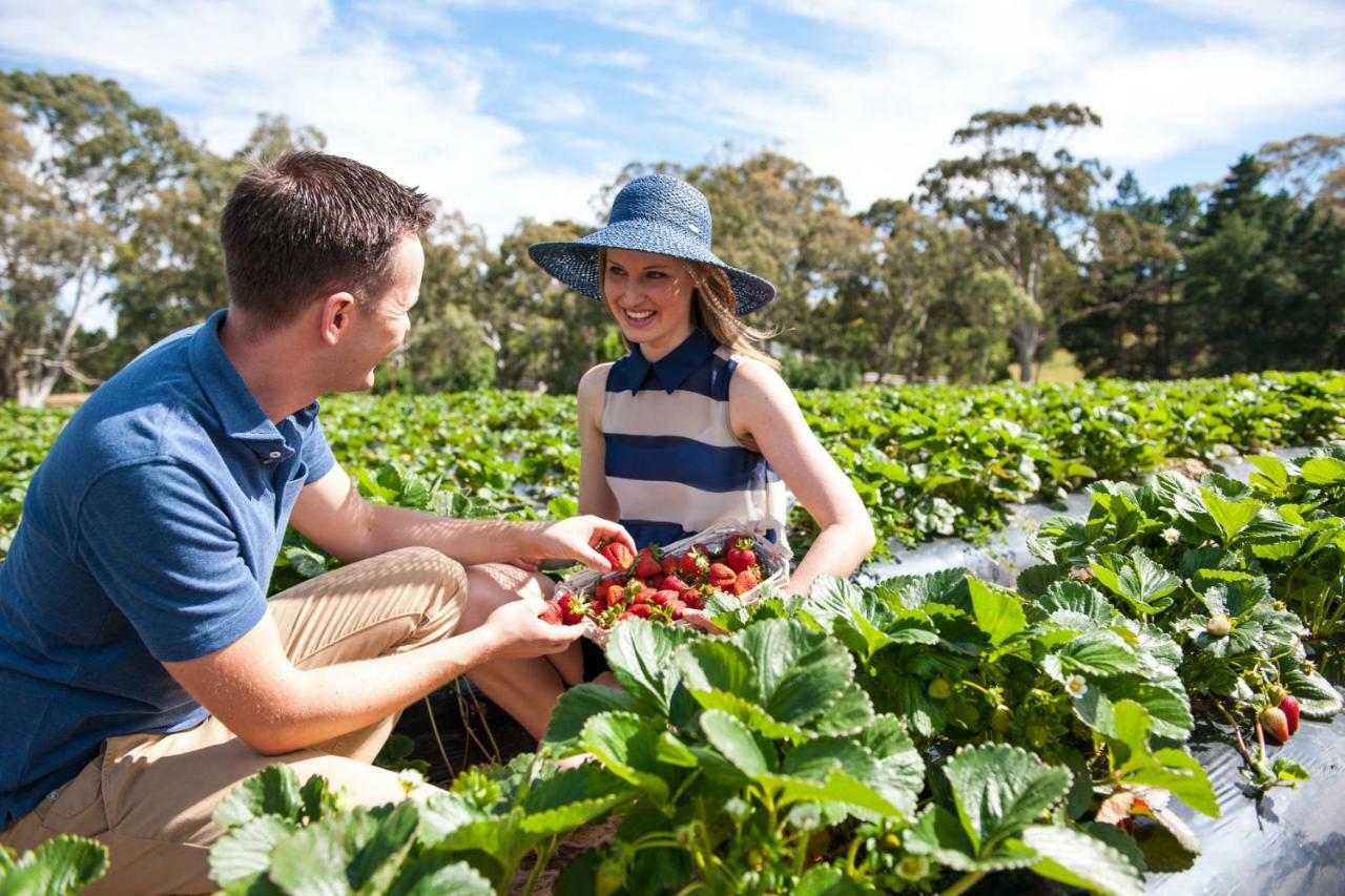 Adelaide Hills Escape Hotel Woodside ภายนอก รูปภาพ