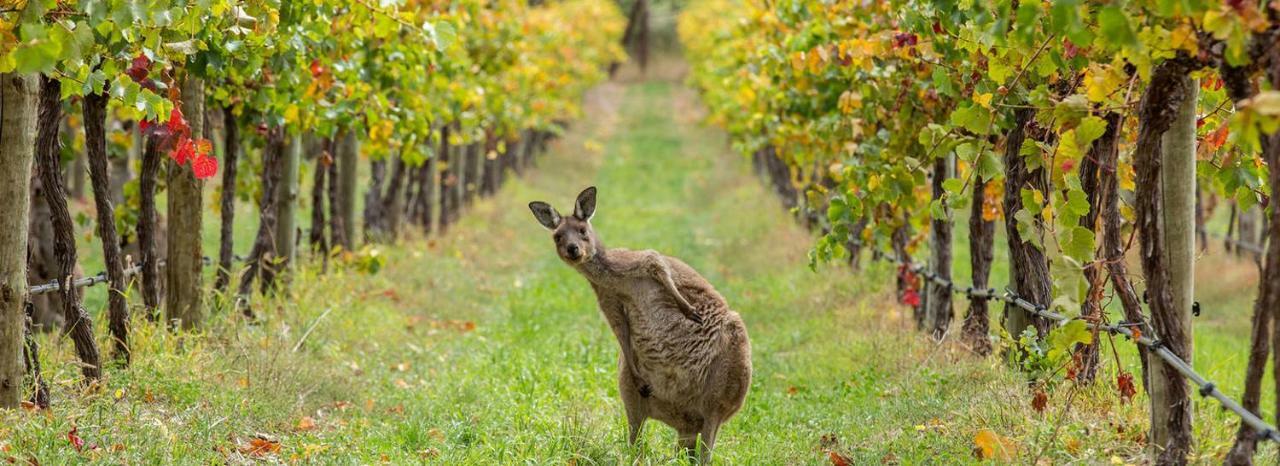 Adelaide Hills Escape Hotel Woodside ภายนอก รูปภาพ
